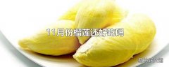 11月份榴莲还好吃吗