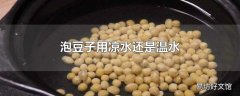 泡豆子用凉水还是温水