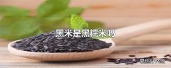 黑米是黑糯米吗