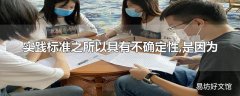 实践标准之所以具有不确定性,是因为