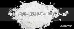 吗啡一般是从那种植物中提炼出来的