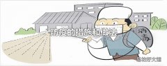 防疫的措施和做法