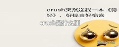 crush是什么梗