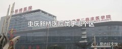 重庆新桥医院属于哪个区