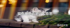 猫有九条命是什么意思