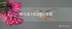 蜂鸟重2克还是2千克