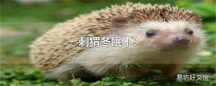 刺猬冬眠不?