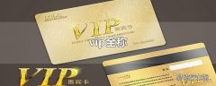 vip全称