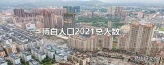 博白人口2021总人数