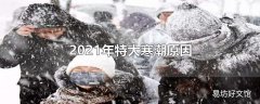 2021年特大寒潮原因