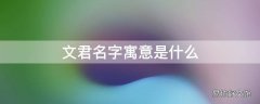 文君名字寓意是什么