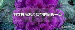 羽衣甘蓝怎么保存时间长一点