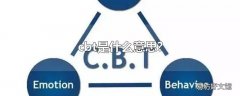 cbt是什么意思?