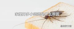 家里好多小蟑螂是什么原因