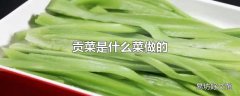 贡菜是什么菜做的