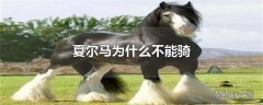 夏尔马为什么不能骑