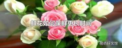 鲜花如何保鲜更长时间