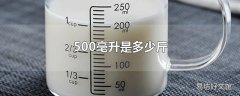 500毫升是多少斤