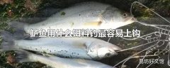 鲈鱼用什么饵料钓最容易上钩