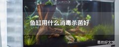 鱼缸用什么消毒杀菌好