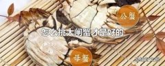 怎么挑大闸蟹才是好的