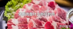 猪梅肉是什么部位的肉