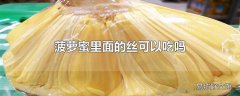 菠萝蜜里面的丝可以吃吗