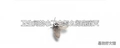 卫生间的小飞虫怎么彻底消灭