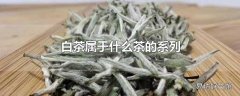 白茶属于什么茶的系列