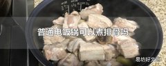 普通电饭锅可以煮排骨吗