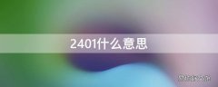 2401什么意思