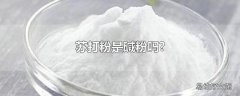 苏打粉是碱粉吗?