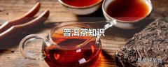 普洱茶知识