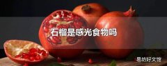 石榴是感光食物吗