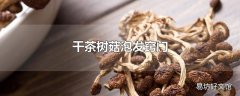 干茶树菇泡发窍门