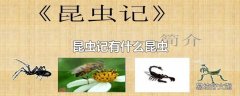 昆虫记有什么昆虫