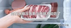 肉在冰箱冷冻多少天就不能吃了