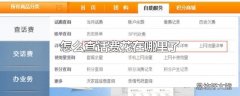 怎么查话费花在哪里了