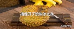 榴莲开了没熟怎么办