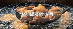 什么油最适合炸东西