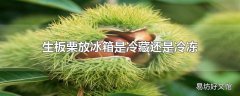 生板栗放冰箱是冷藏还是冷冻