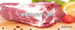 猪梅花肉是什么部位