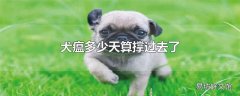 犬瘟多少天算撑过去了