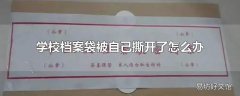 学校档案袋被自己撕开了怎么办