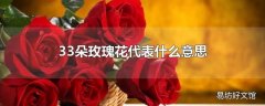 33朵玫瑰花代表什么意思