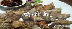 煮海螺多长时间