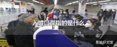 入境口岸指的是什么