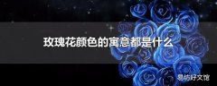 玫瑰花颜色的寓意都是什么