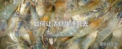 如何让活虾快速死去