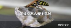 黄蜂窝怎么安全除掉